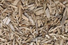 biomass boilers Barnacle